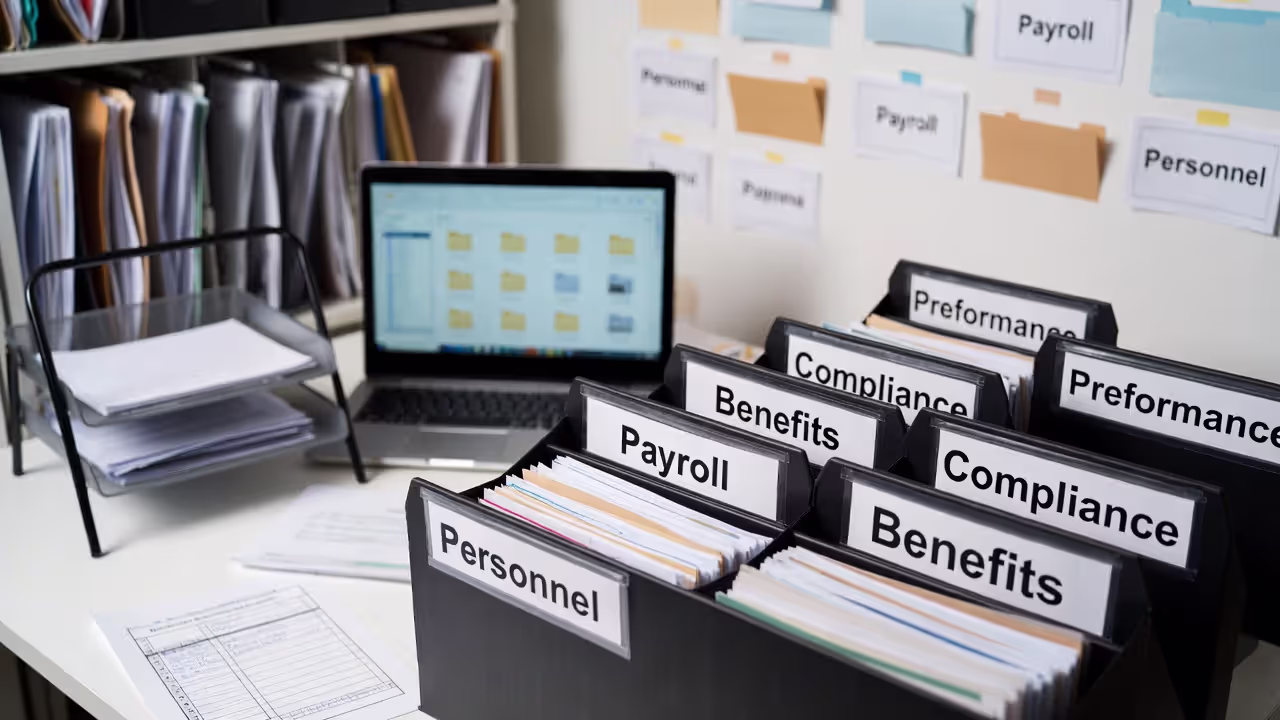 Clear file categories reduce confusion and legal risk.